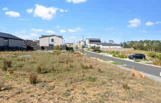 86 Puwha Street, Massey