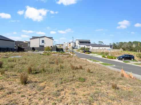 86 Puwha Street, Massey