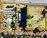664 State Highway 2, Katikati, Western Bay Of Plenty, Bay of Plenty
