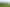 1/867 Frontier Road, Pirongia