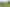 1/867 Frontier Road, Pirongia