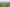 1/867 Frontier Road, Pirongia