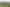 1/867 Frontier Road, Pirongia