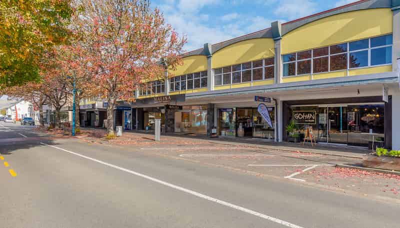 Suites 1/22 Scott Street, Blenheim Central