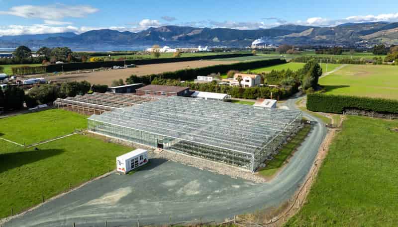 98 Lansdowne Road, Richmond