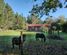 89 Russell Road, Kaniere, Westland, West Coast