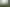 Karaka, Maymorn Farm, Maymorn