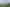 Matai, Maymorn Farm, Maymorn
