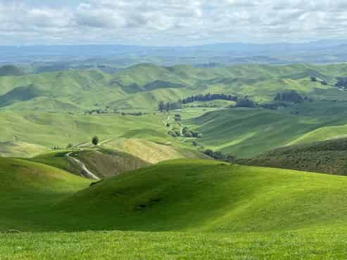 989 Raukawa Road, Raukawa