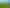  Morrinsville-Tahuna Road, Morrinsville