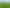  Morrinsville-Tahuna Road, Morrinsville