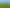  Morrinsville-Tahuna Road, Morrinsville