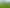  Morrinsville-Tahuna Road, Morrinsville