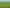  Morrinsville-Tahuna Road, Morrinsville