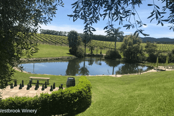 Lot 7 / 91 Freshfields Road, Waimauku