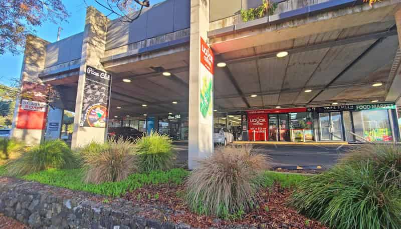 Unit 7/55 Sainsbury Road, Mount Albert