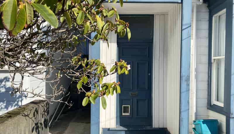 108b Wallace Street , Mount Cook