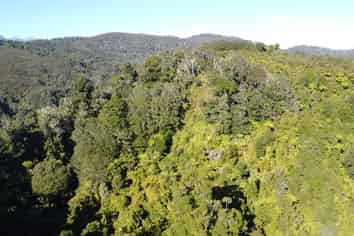 844 Nikau Road, State Highway 67, Mokihinui