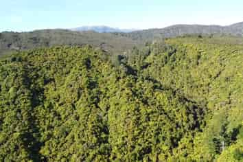 844 Nikau Road, State Highway 67, Mokihinui
