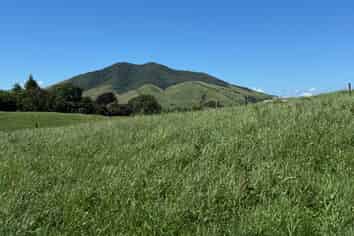 (Lot 5) 13 Pokuru Road, Te Awamutu