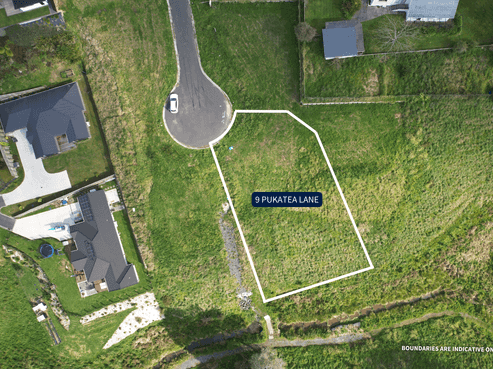 9 Pukatea Lane, Grandview Heights