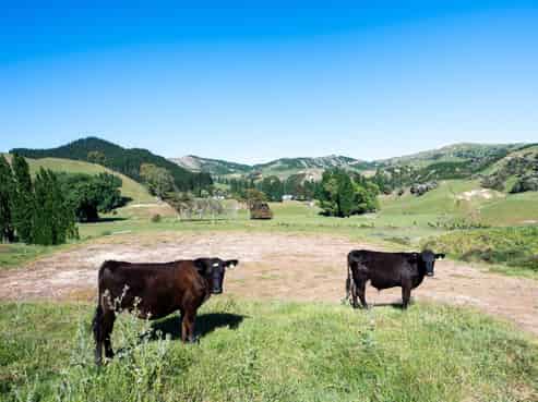  Hedgeley Road, Puketapu