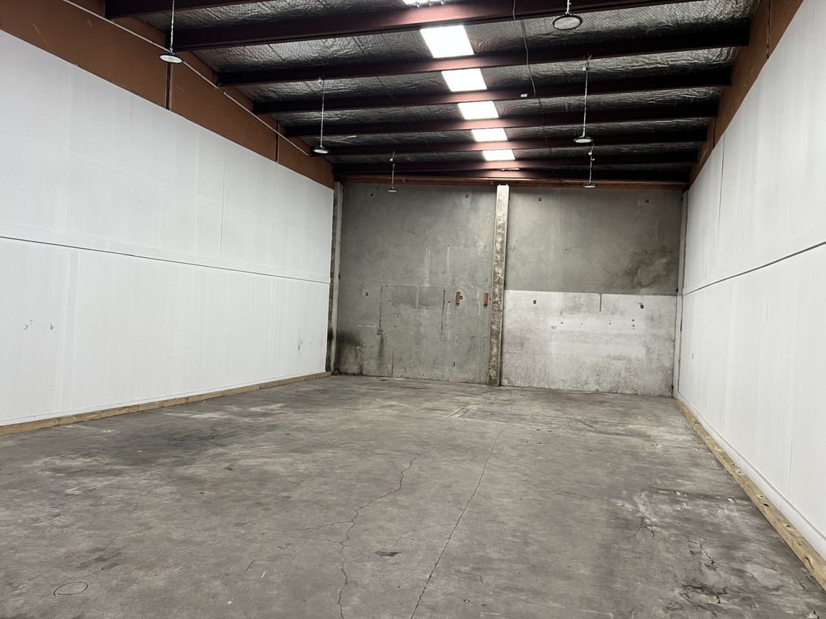 Versatile space in central Paraparaumu - Vista 2