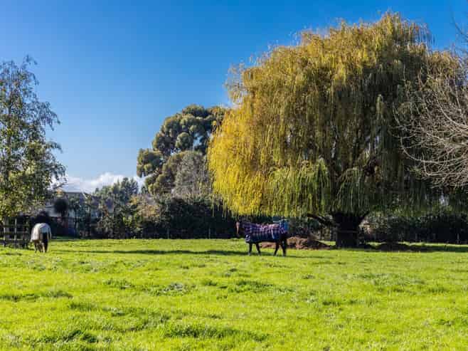 2D Ferry Road, Spring Creek