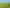  Park Road and Golf Road, Te Awamutu