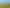  Park Road and Golf Road, Te Awamutu