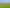  Park Road and Golf Road, Te Awamutu
