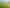  Park Road and Golf Road, Te Awamutu