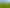  Park Road and Golf Road, Te Awamutu