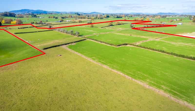  Park Road and Golf Road, Te Awamutu
