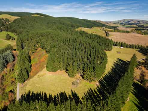 8P Davaar Road, Greta Valley