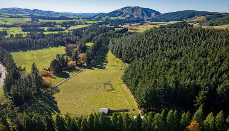 8P Davaar Road, Greta Valley