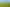  Park Road and Golf Road, Te Awamutu