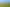  Park Road and Golf Road, Te Awamutu