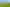  Park Road and Golf Road, Te Awamutu