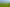  Park Road and Golf Road, Te Awamutu