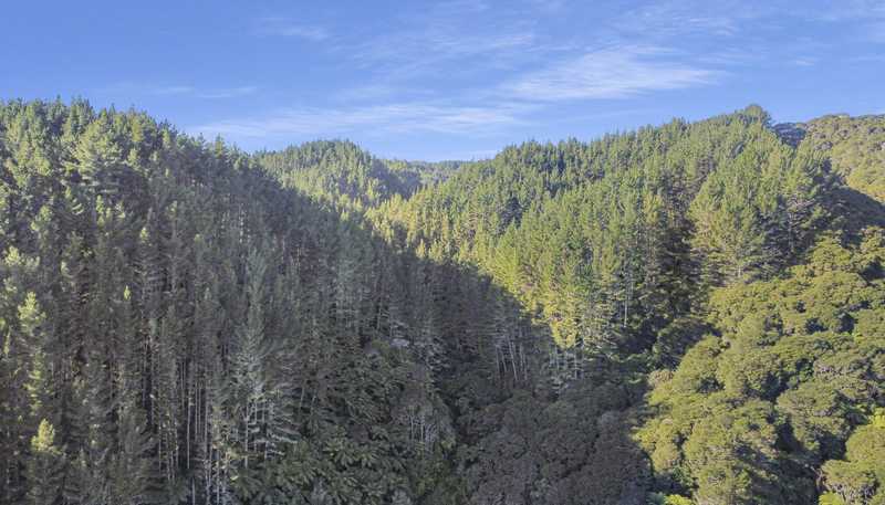 9A State Highway 2, Taneatua