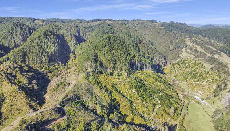 9A State Highway 2, Taneatua