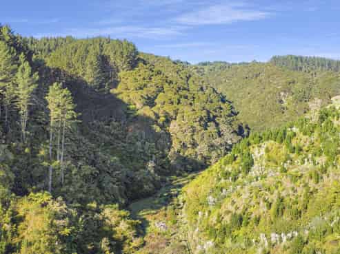 1 State Highway 2, Taneatua