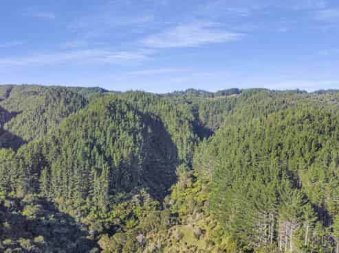 1 State Highway 2, Taneatua