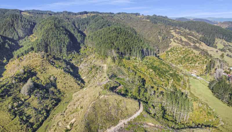 9A State Highway 2, Taneatua