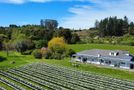 20 Neudorf Road, Upper Moutere, Tasman, Nelson & Bays