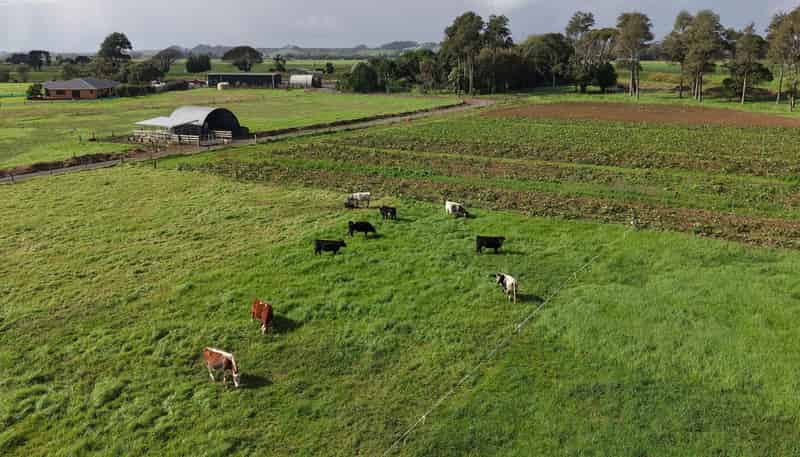 862 Gill Road, Kaitaia
