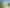 Auckland - Address withheld
