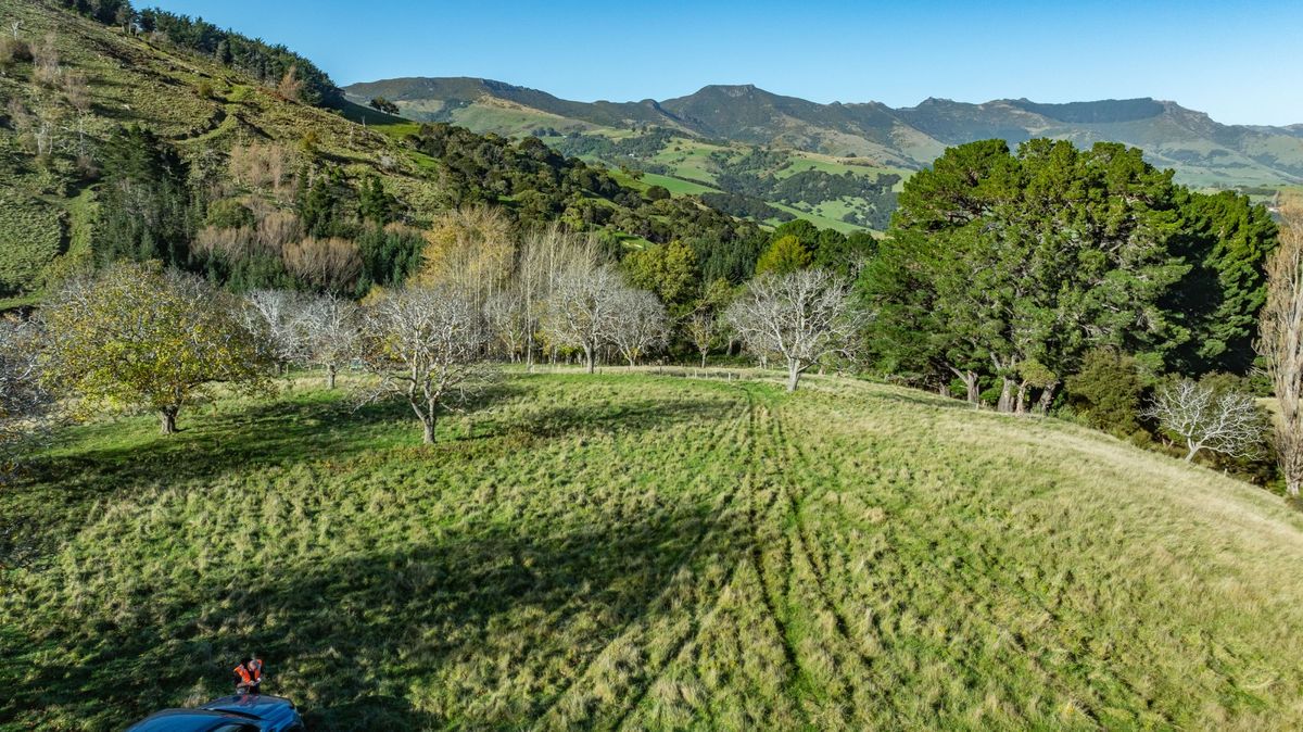 Takamatua landbank-development opportunity - Ansicht 3