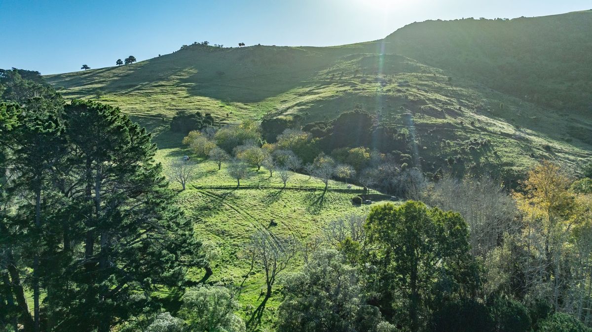Takamatua landbank-development opportunity - Ansicht 5